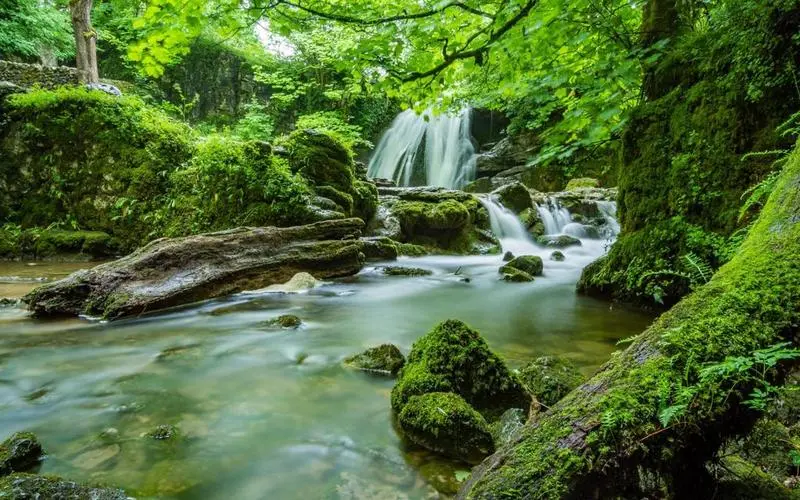 智慧高端